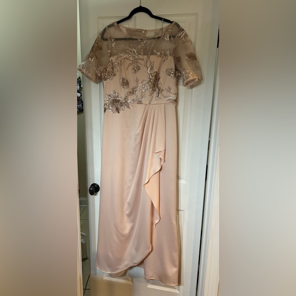 COPY - Adrianna Papell formal dress, size 14